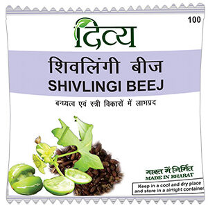 Divya Shivlingi Beej 100 Gm