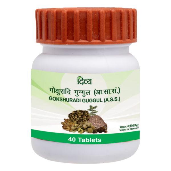 Divya Gokshuradi Guggul 40 Tab