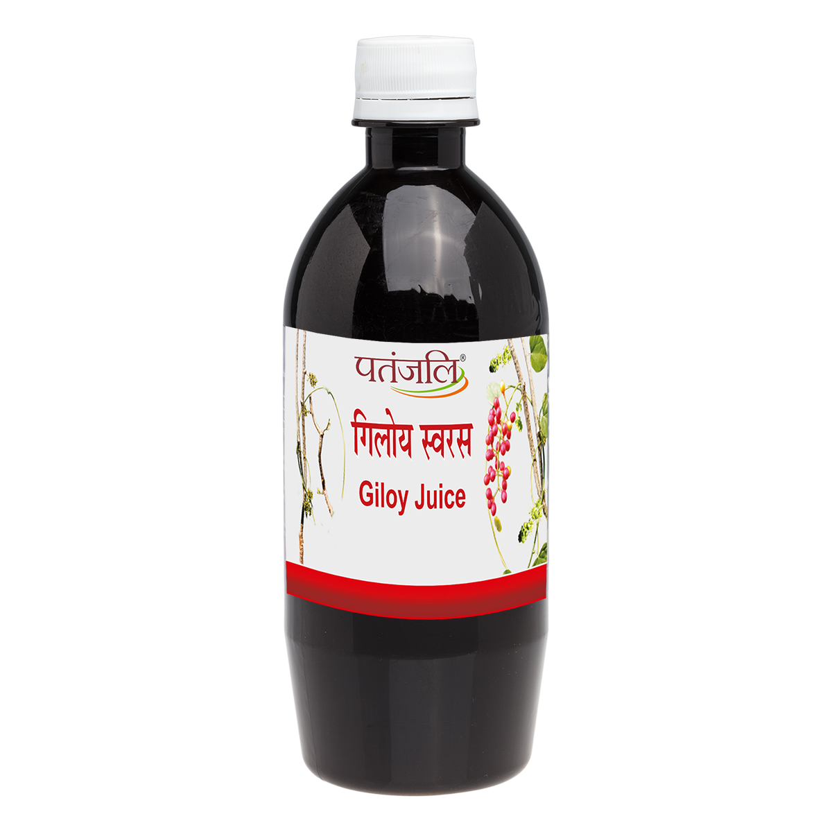 GILOY JUICE 500 ML – ayodhyafirst