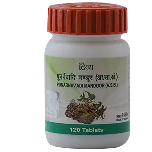 Divya Punarnavadi Mandoor 120 Tab