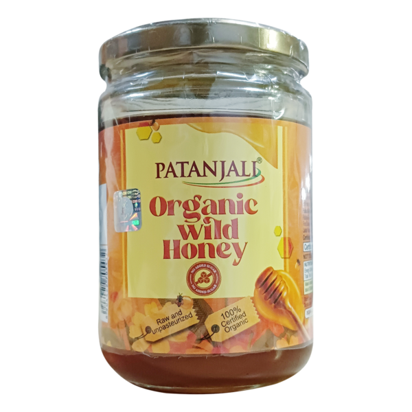 ORGANIC WILD HONEY 400 GM