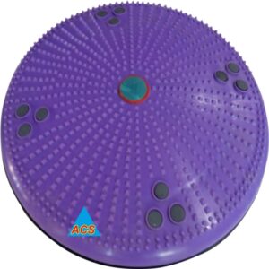 ACS Acupressure Small Twister - Body Weight Reducer Disc