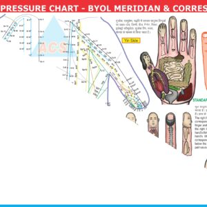 ACS Sujok Acupressure Chart - Byol Meridian & Correspondence