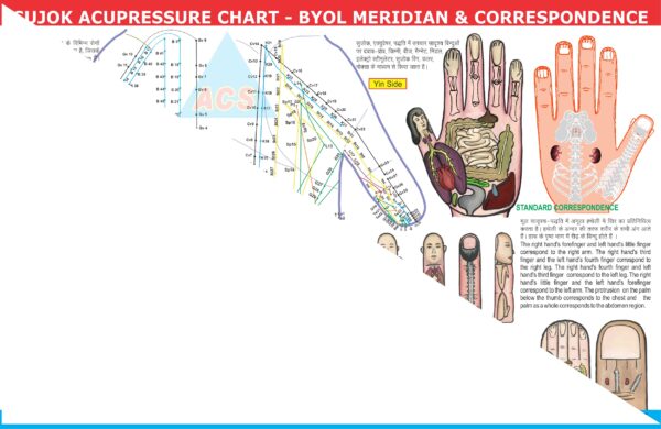 ACS Sujok Acupressure Chart - Byol Meridian & Correspondence