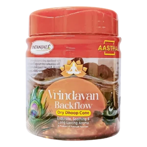 AASTHA BACKFLOW DHOOPCONE VRINDAVAN-160G (C.F.:36)